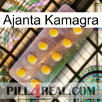 Ajanta Kamagra new11